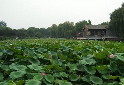 怀孕和公婆一起住婆婆很烦,怀孕与公婆一起住确实很压抑