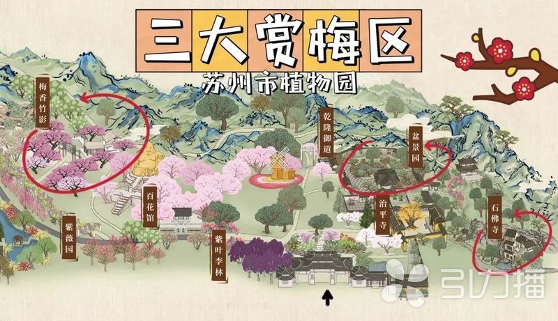 中国赏梅好去处苏州赏梅花,苏州十大赏梅胜地你去过几个