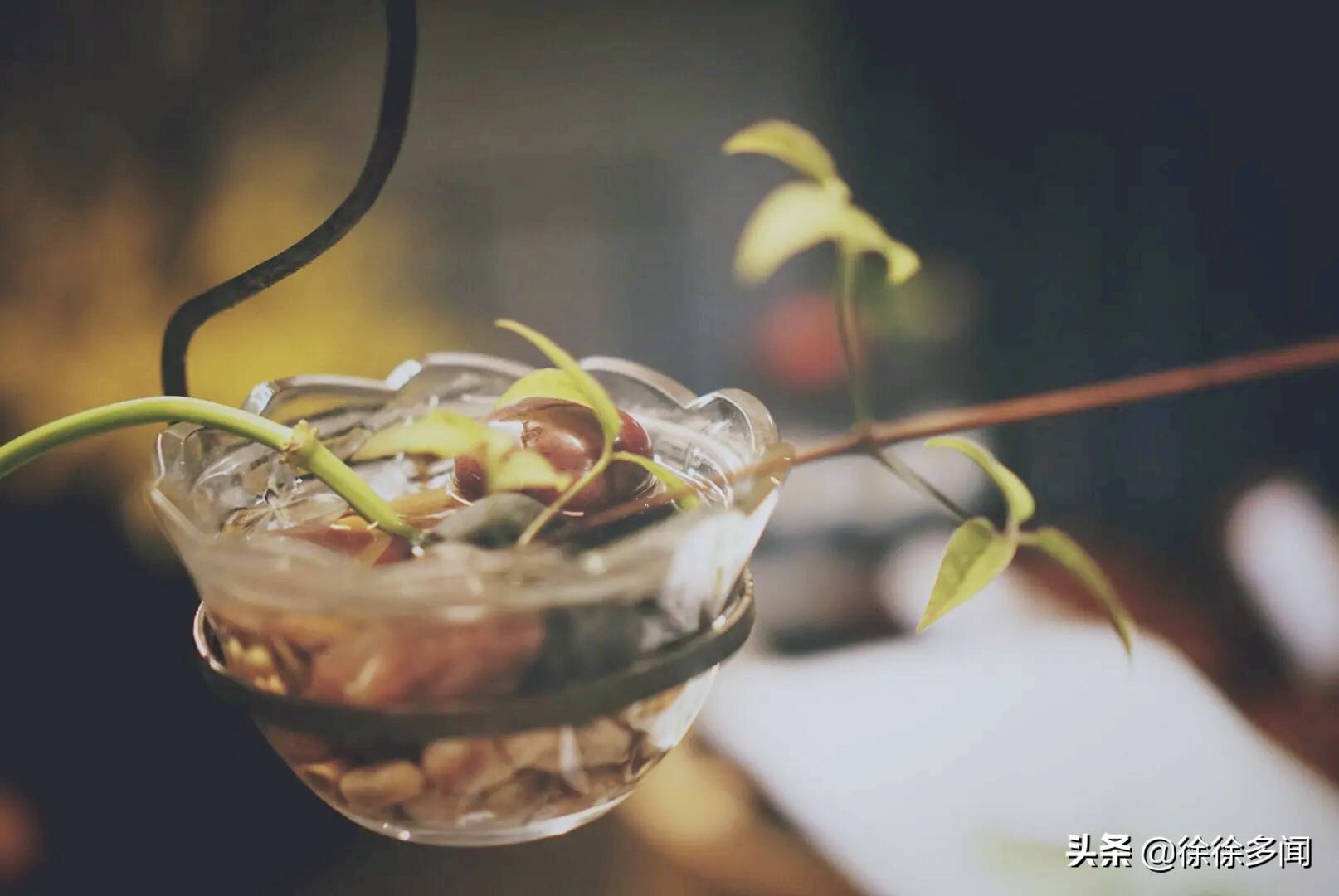 星云大师谈人生学,星云大师教人生存之道