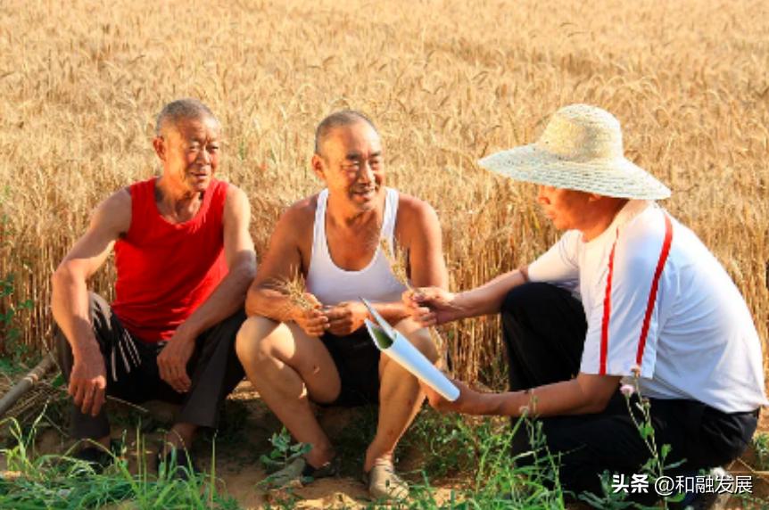 农业人口老龄化对农地配置与种粮决策的影响