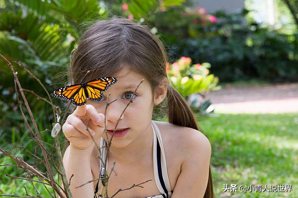 奥兰多有什么好玩的景点,奥兰多风景