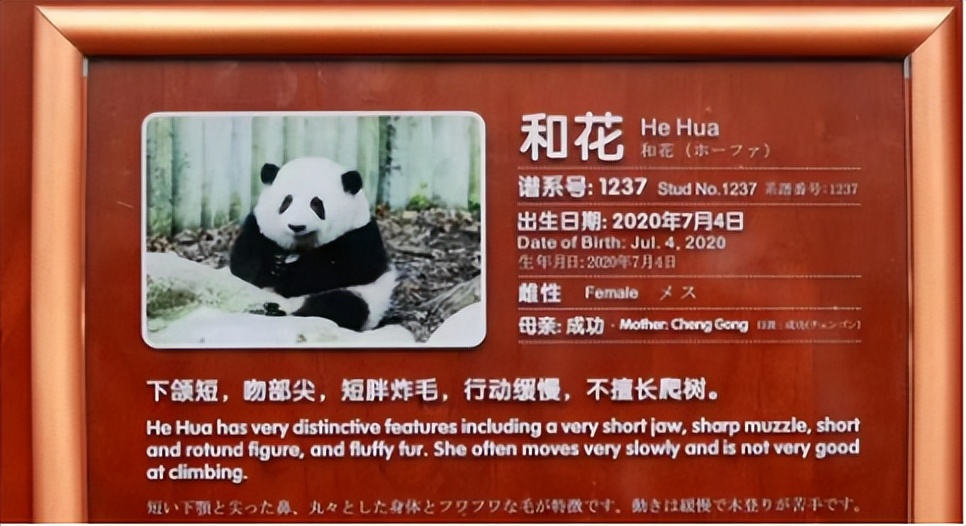 中国十大顶流女明星,顶流女明星穿越电视剧