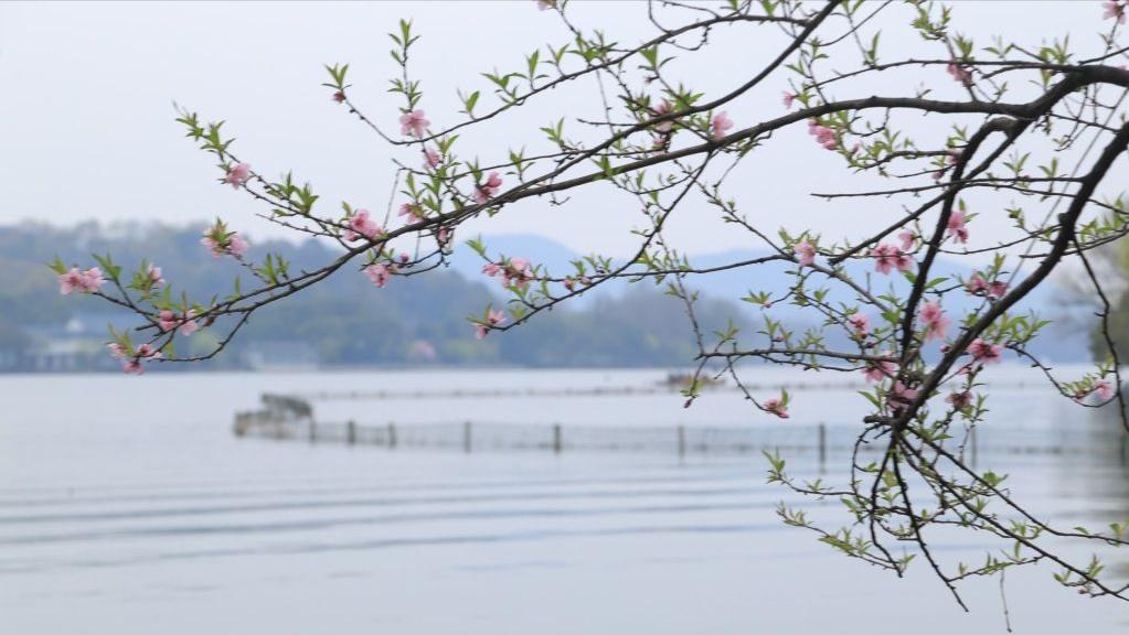 杭州四月美景,三月的杭州绝美