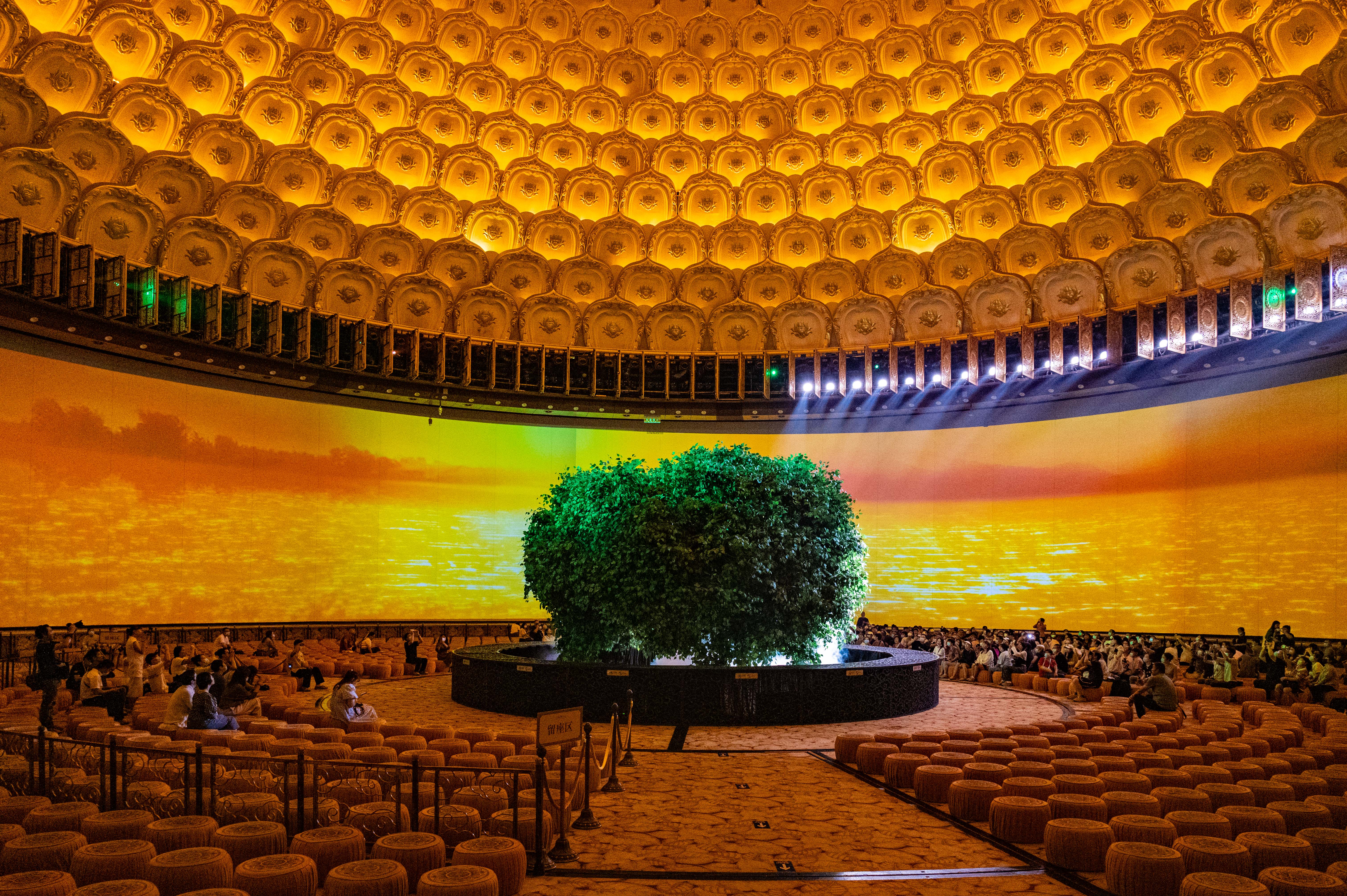 无锡灵山净化心灵之旅,无锡灵山胜境一游