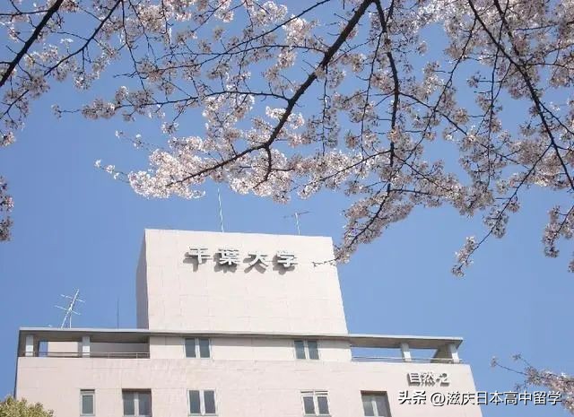 「日本大学」东京都市圈内顶级国立大：千叶大学