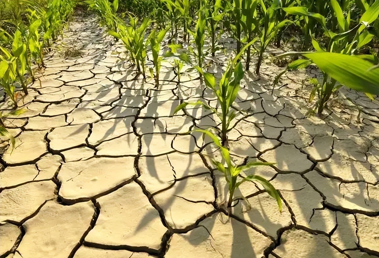 鄱阳湖水位大涨，16米或快了！20年大变，如何才能避免再次干枯？