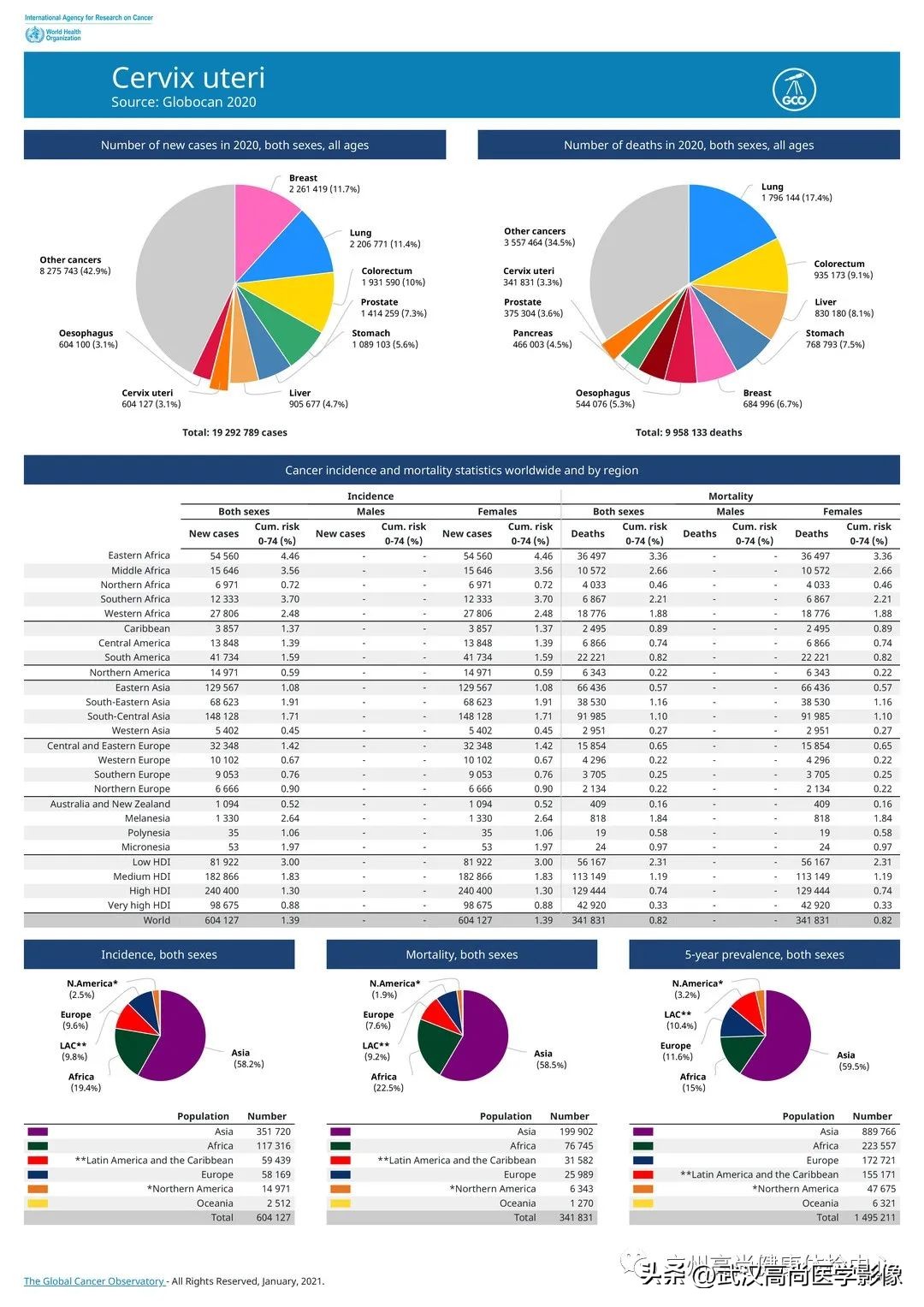 宫颈癌筛查为女性健康保驾护航,宫颈癌是可以早期筛查和预防的
