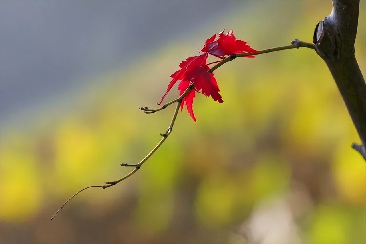 关于生活的10个真相，赶走你所有矫情