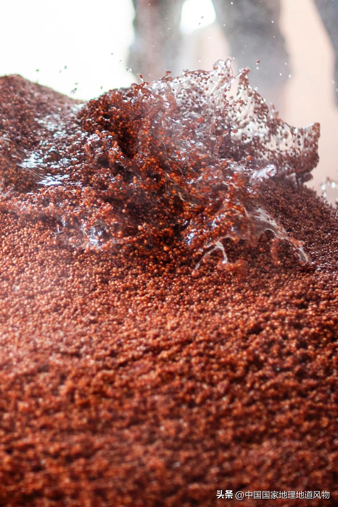 茅台酒的味道是香精调出来的吗,茅台酒的酱香是什么酱