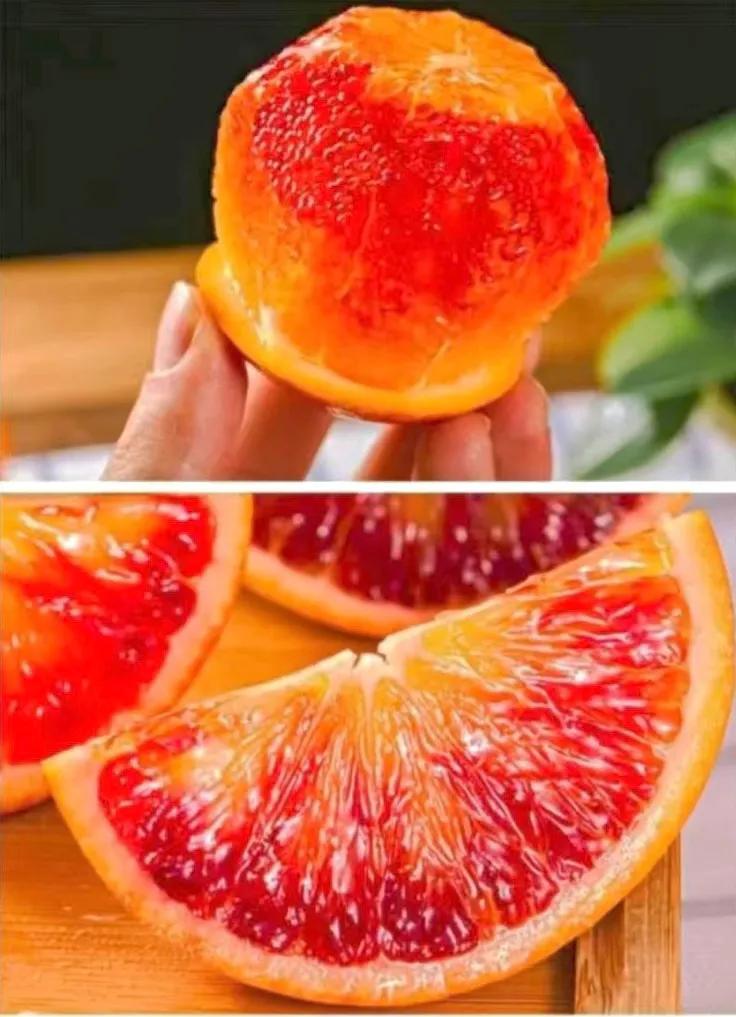 测试男生恋爱情商的测试题,国际情商在线测试题48题