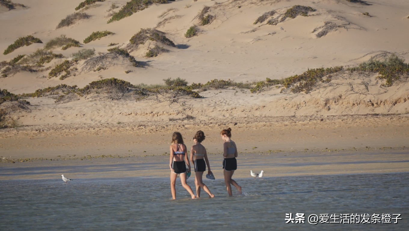 一路向北全程1980公里,西澳自驾游最佳路线图