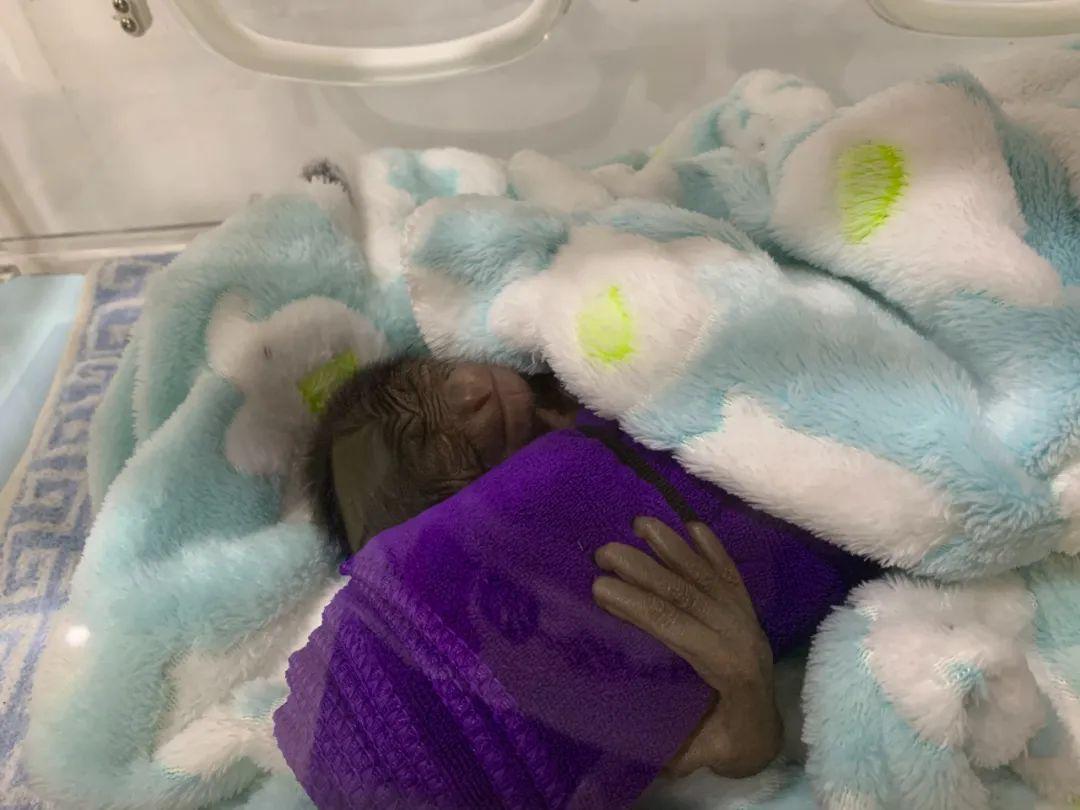 红山动物园亏损3千万网友很着急,近两年疫情原因导致亏损如何翻身