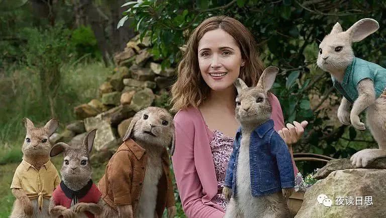 兔年的兔子是怎么样的,兔年兔子特点