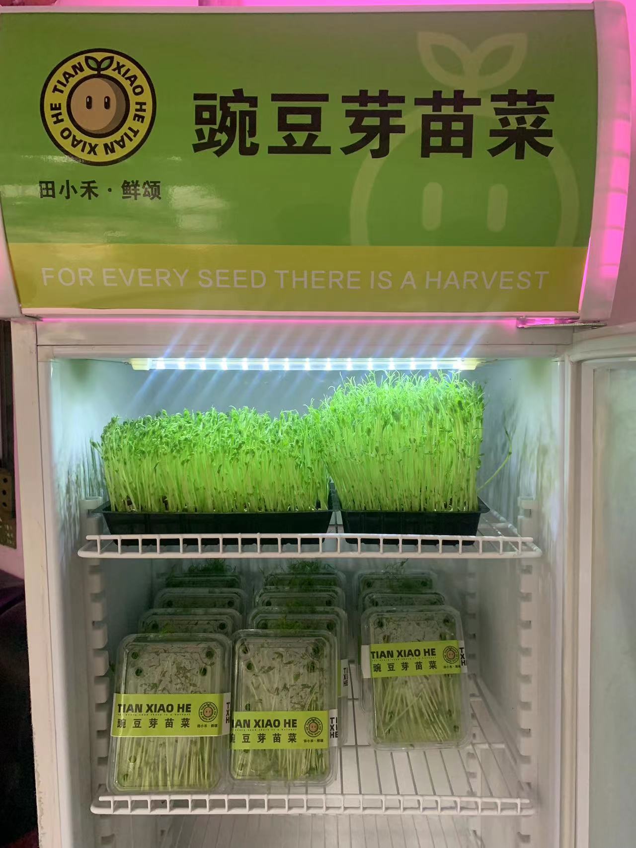田小禾种植,田小禾生鲜