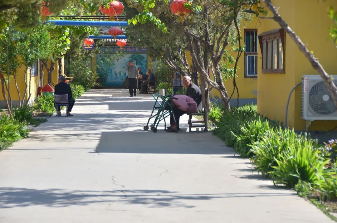 养老院里的情与爱,养老院的生活与向往的一样吗