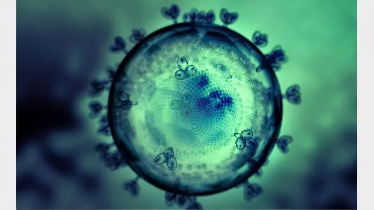 世界艾滋病疫苗临床试验,中国艾滋病疫苗研究新消息