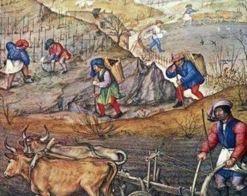 英国政府购买土地条件,英国土地政策