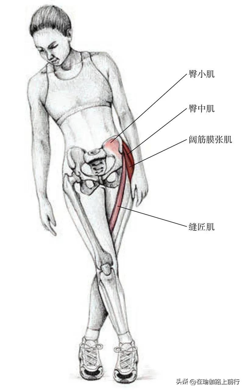 大腿外展肌群怎么拉伸,侧身外展肌拉伸