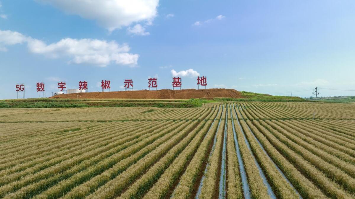 推进数字乡村体系建设的好处,数字乡村建设存在的问题及建议