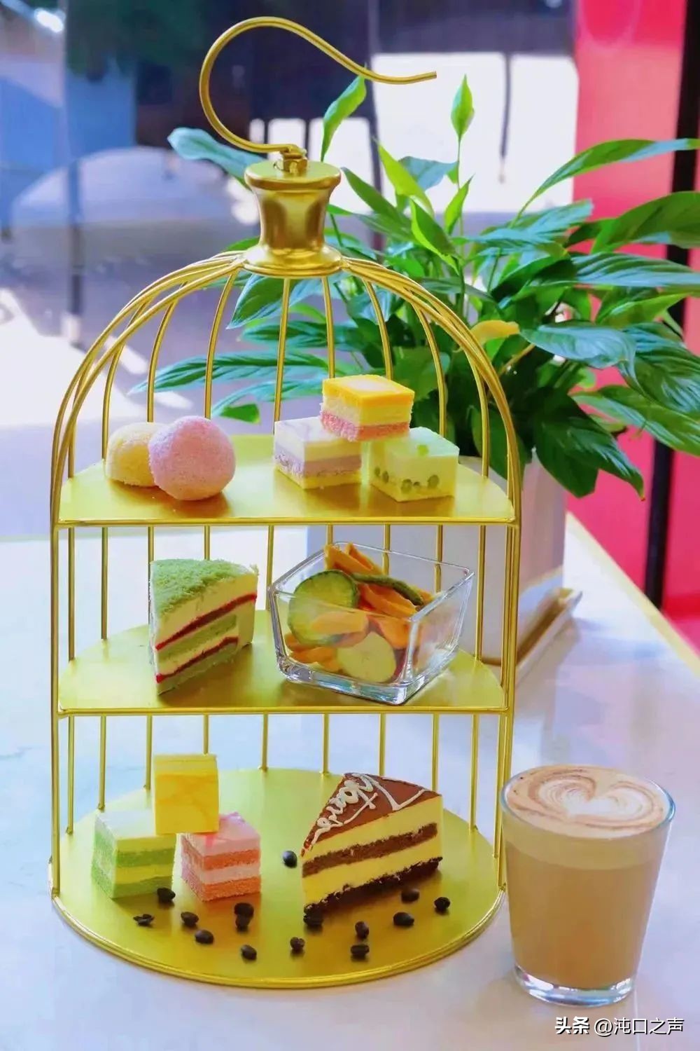 武汉沌口体育中心端午活动,今天沌口体育中心有什么活动