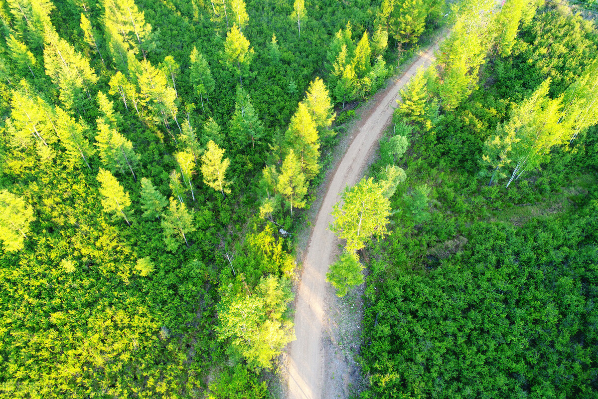 回头看你的时候的感悟,回头看工作