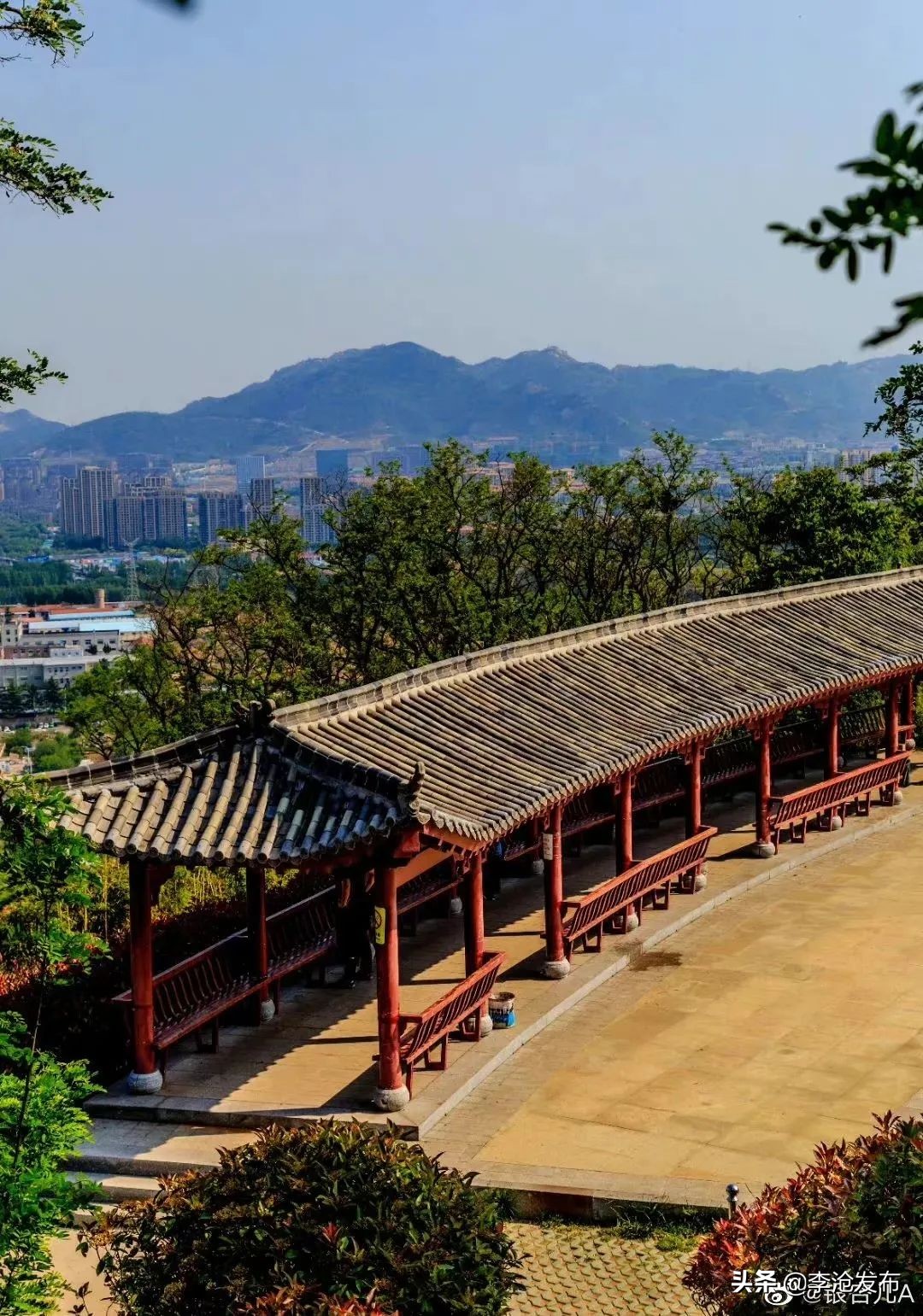 绿荫的夏天，快来解锁李沧这个小众宝藏之地！