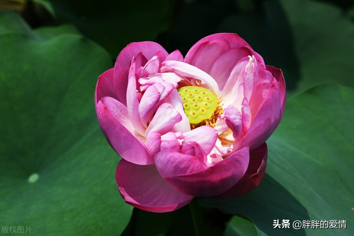 人生是一场追求生活是一种领悟,生活需要磨练人生更需要洞悟