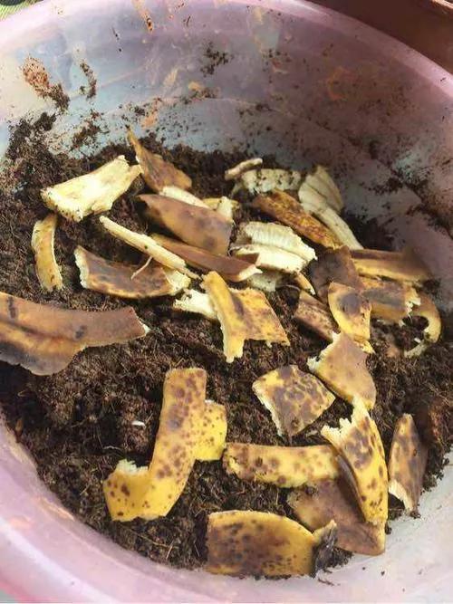 实用小妙招轻松解决生活大问题,生活上的小事怎么解决