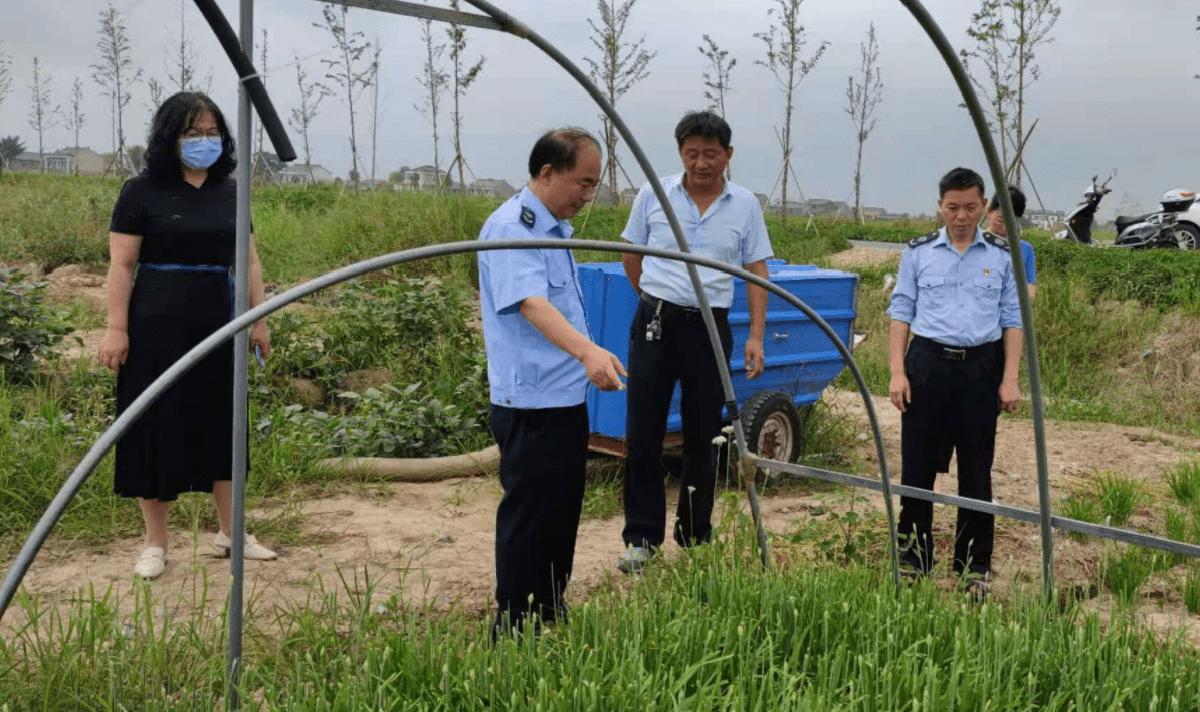 农民在荒地种菜被政府铲除,湖南农田种姜被铲后续