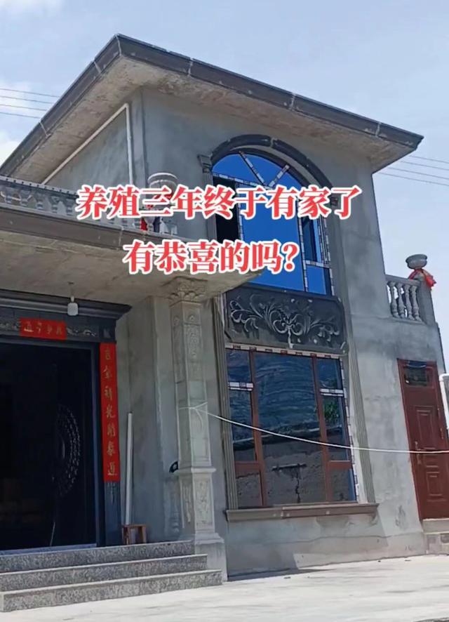 女子离婚后到山上自己盖房子,女子离婚后父母盖房子