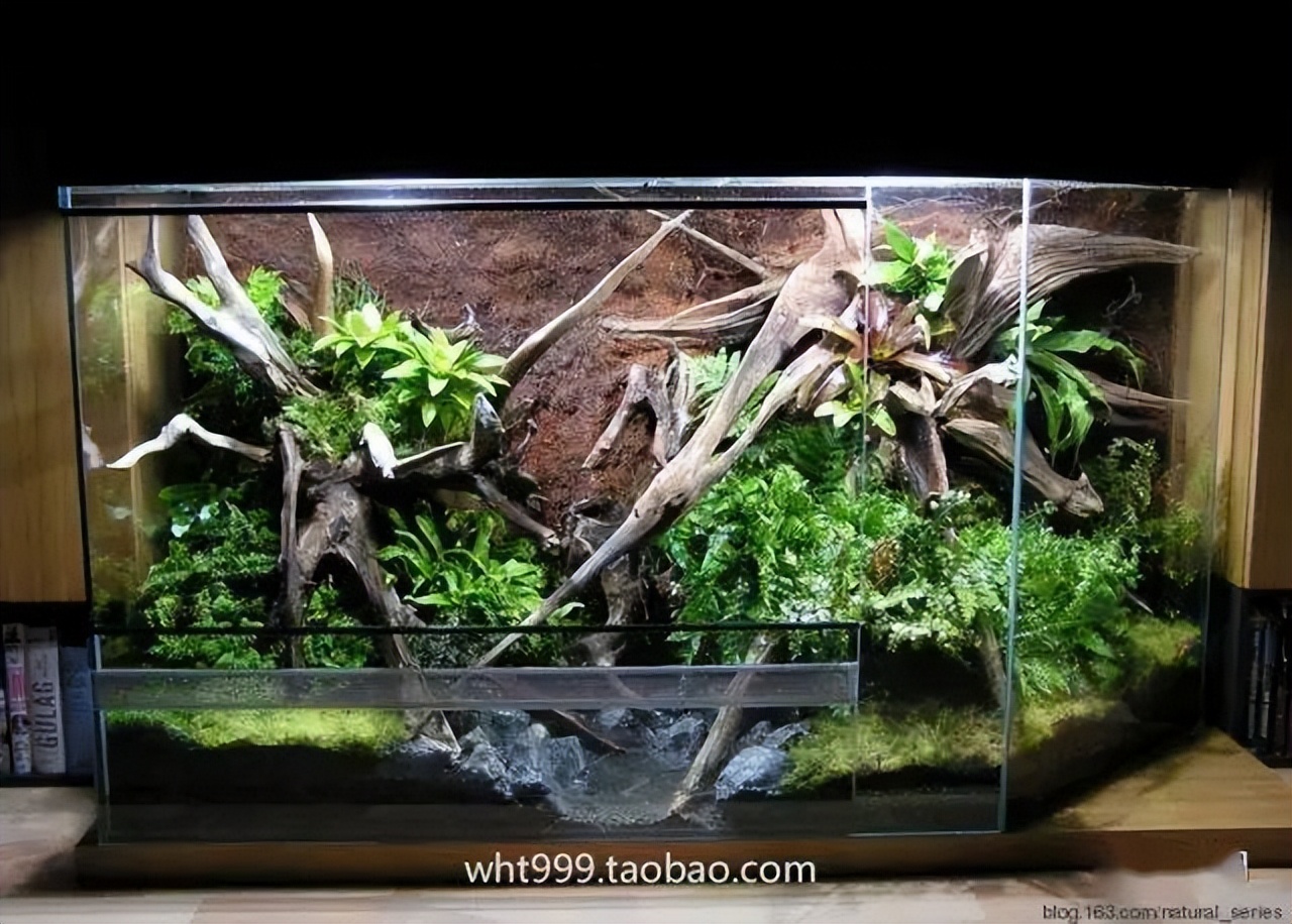 雨林缸超小,雨林缸电视柜