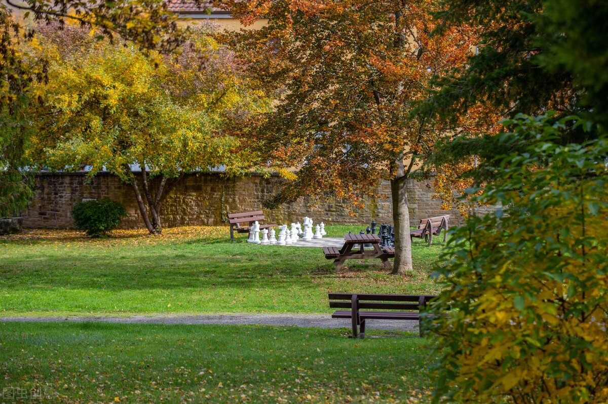 棋如人生——讲自己的象棋故事第一章那年夏天初见象棋