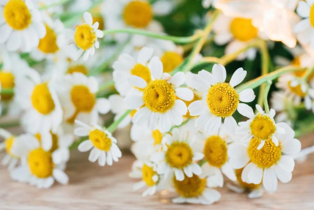 三观正比五官正更为重要,做一个三观比五官正的人