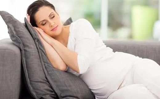 李子不能多吃是真的吗,李子不能多吃是吗