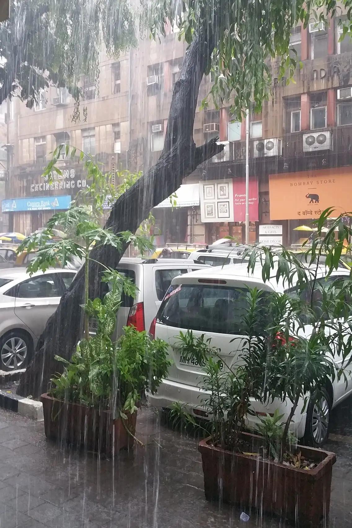 难忘的藏区旅行,真实的印度之旅