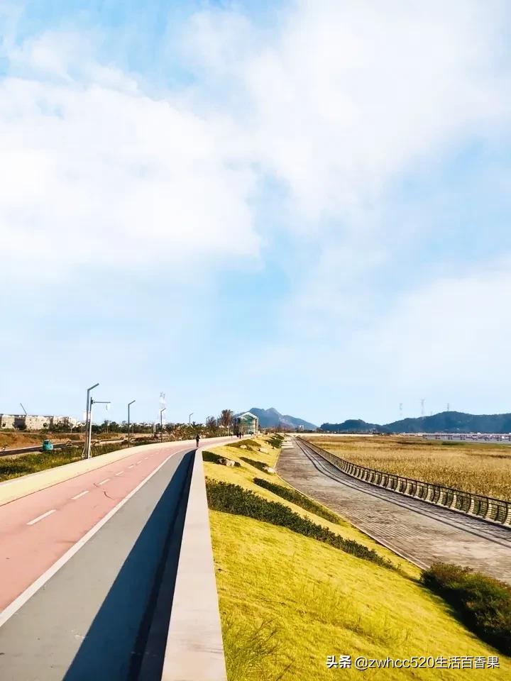 温州后花园七都岛,七都温州后花园