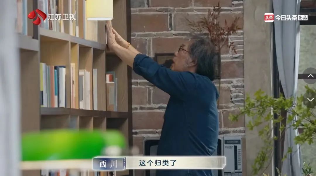 一个明星都不请的国综，9分给低了