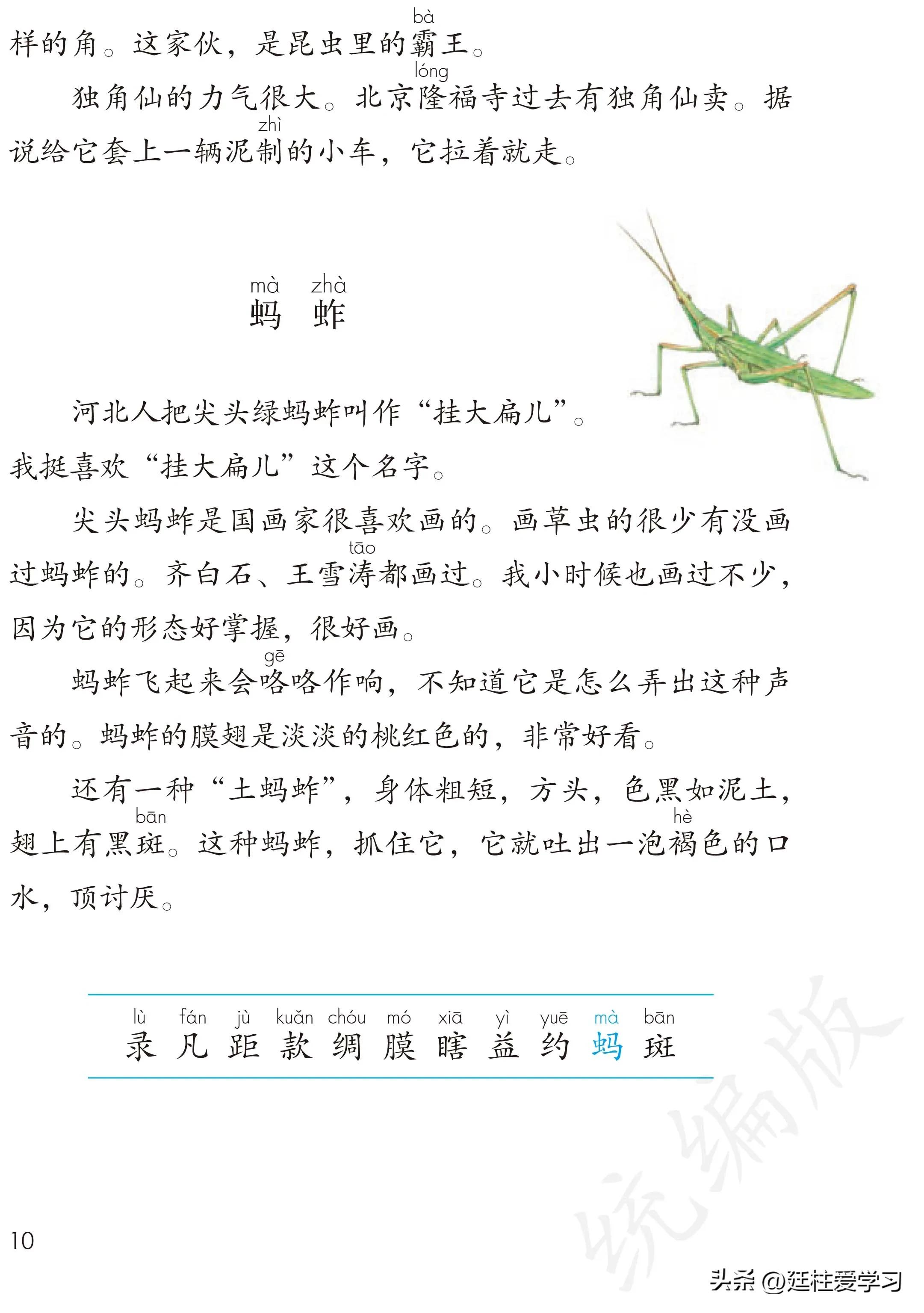 小学语文三年级下册电子版书,小学语文三年级下册知识点