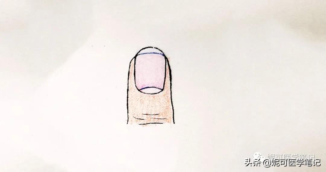 进行手部指甲养护的步骤,手部理疗和指甲护理