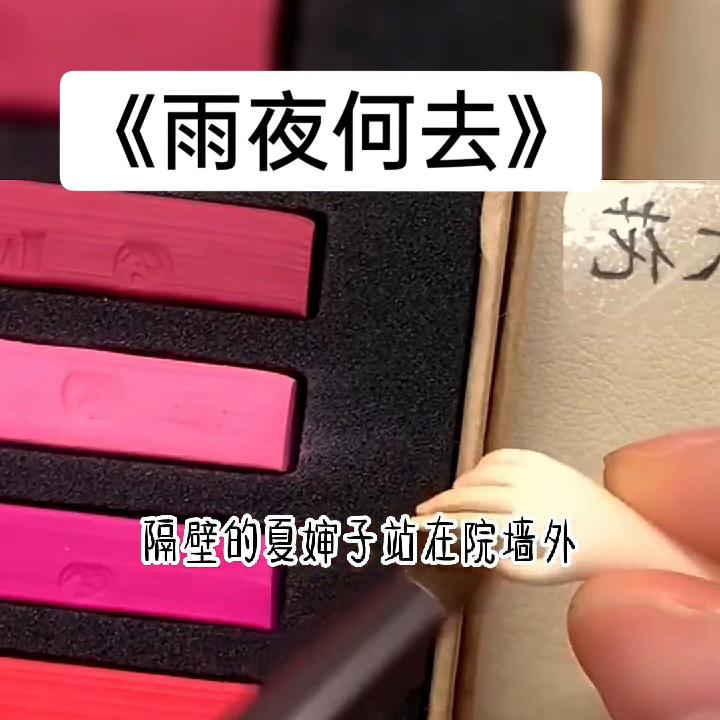 书名《雨夜何去》#太好看了