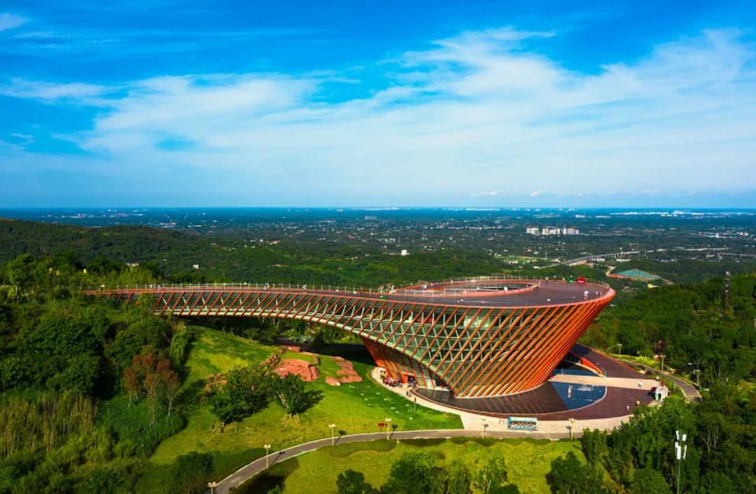 来认识长在石头上的植物,成都有哪些生物