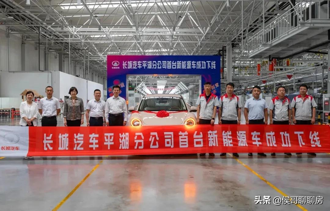 平湖市房产未来如何发展,浙江平湖未来5年房价走势