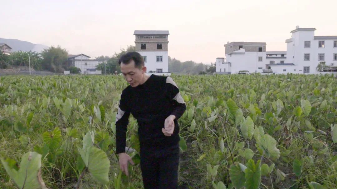 把东西卖到国外赚钱吗,把东西卖到国外去赚国外的钱