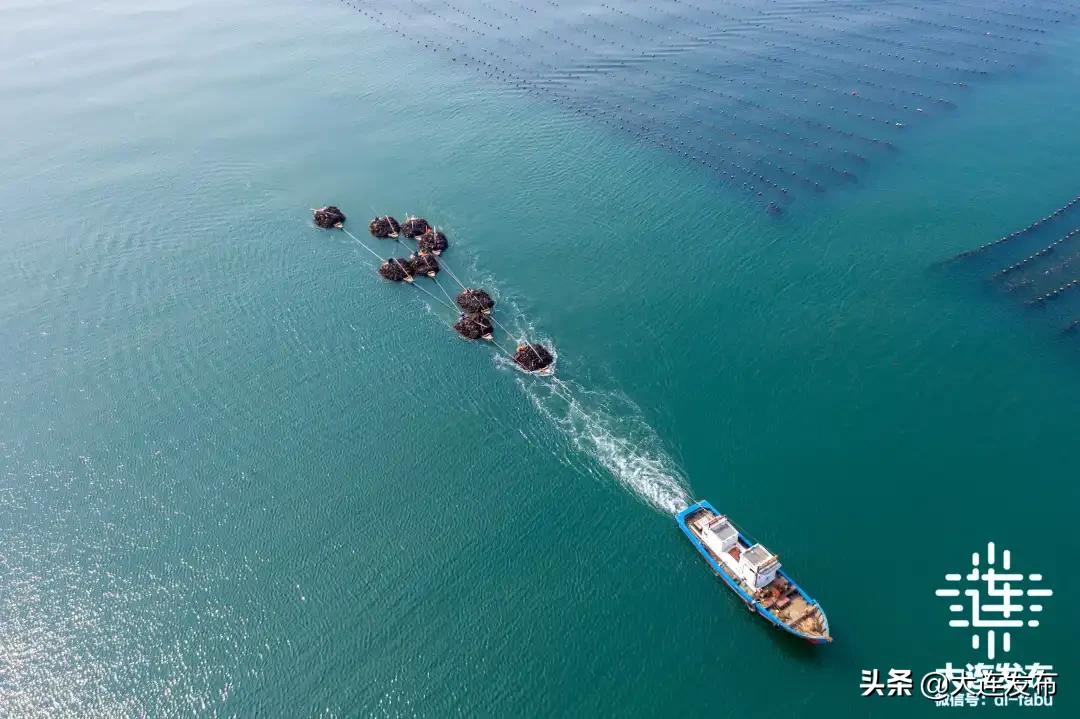 大连国家海洋中心城市,大连市海洋强市战略