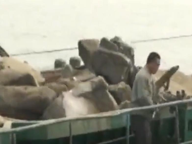 东北小伙一亿买石头,东北小伙花两亿买石头现状