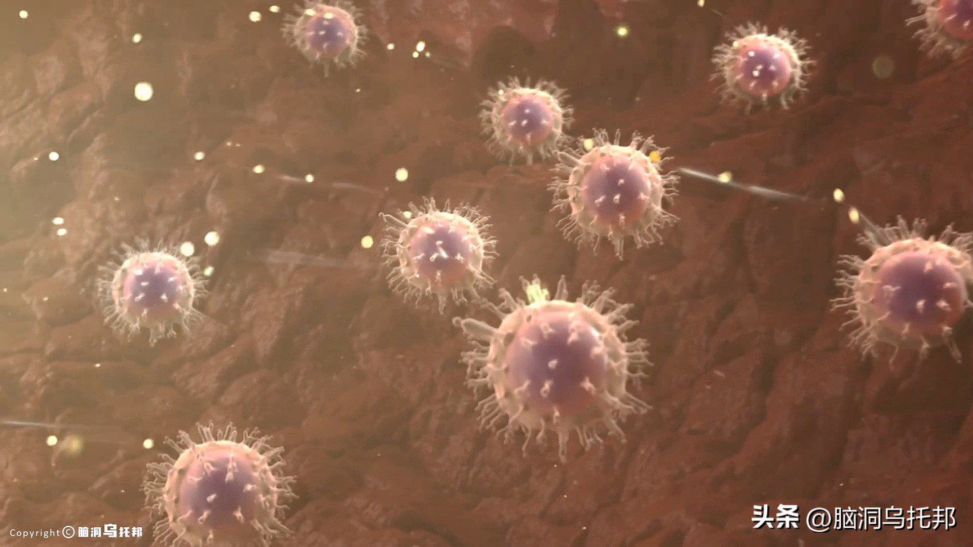 无症状感染是因为体质差吗,为什么有的人感染症状轻