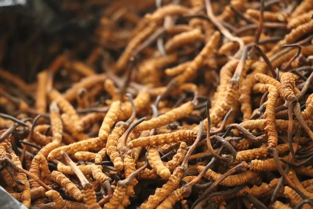 青海冷知识青藏铁路,关于青海省的37个冷知识