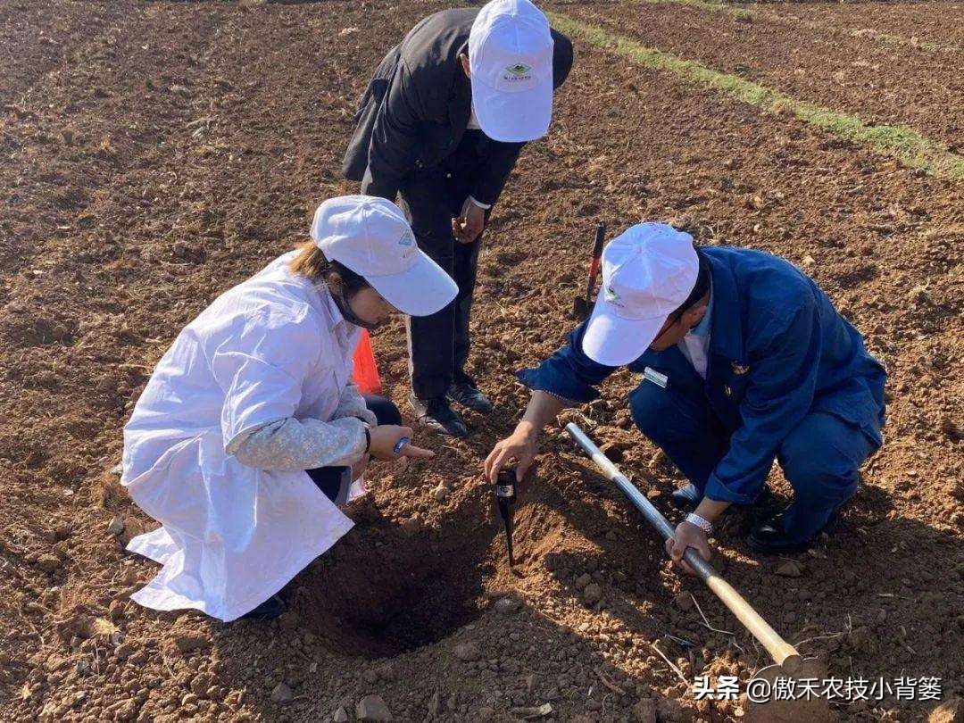 菌肥和菌剂的区别,菌肥与有机肥的区别