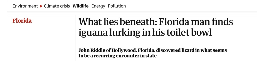 太惊悚！厕所传来怪异嘶嘶声，美国老哥掀开马桶盖，差点灵魂出窍