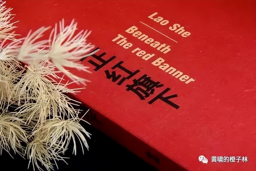 戛然而止的《正红旗下》